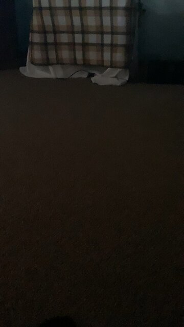 Paranormal shows be like