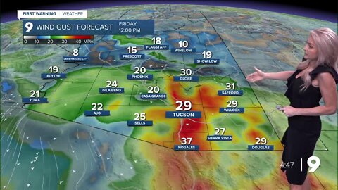 Wind and warmer for the weekend