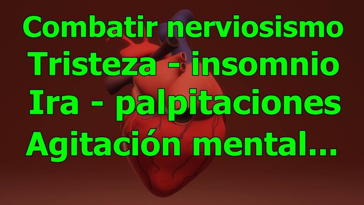 COMO TONIFICAR EL CORAZÓN, ESTIMULARLO Y REPARAR EL MUSCULO CARDÍACO