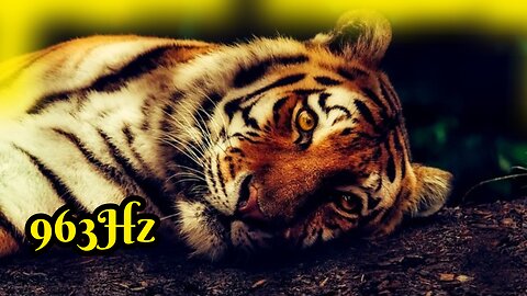 Deep Relaxation. 963 Hz Binaural. Increase Serotonin/Reduce Anxiety/ Improve Sleep