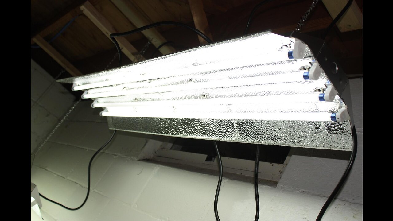 Durolux T5 Ho Grow Light - 4 Foot 4 Lamps - DL844 Fluorescent Hydroponic Indoor Fixture UL List...