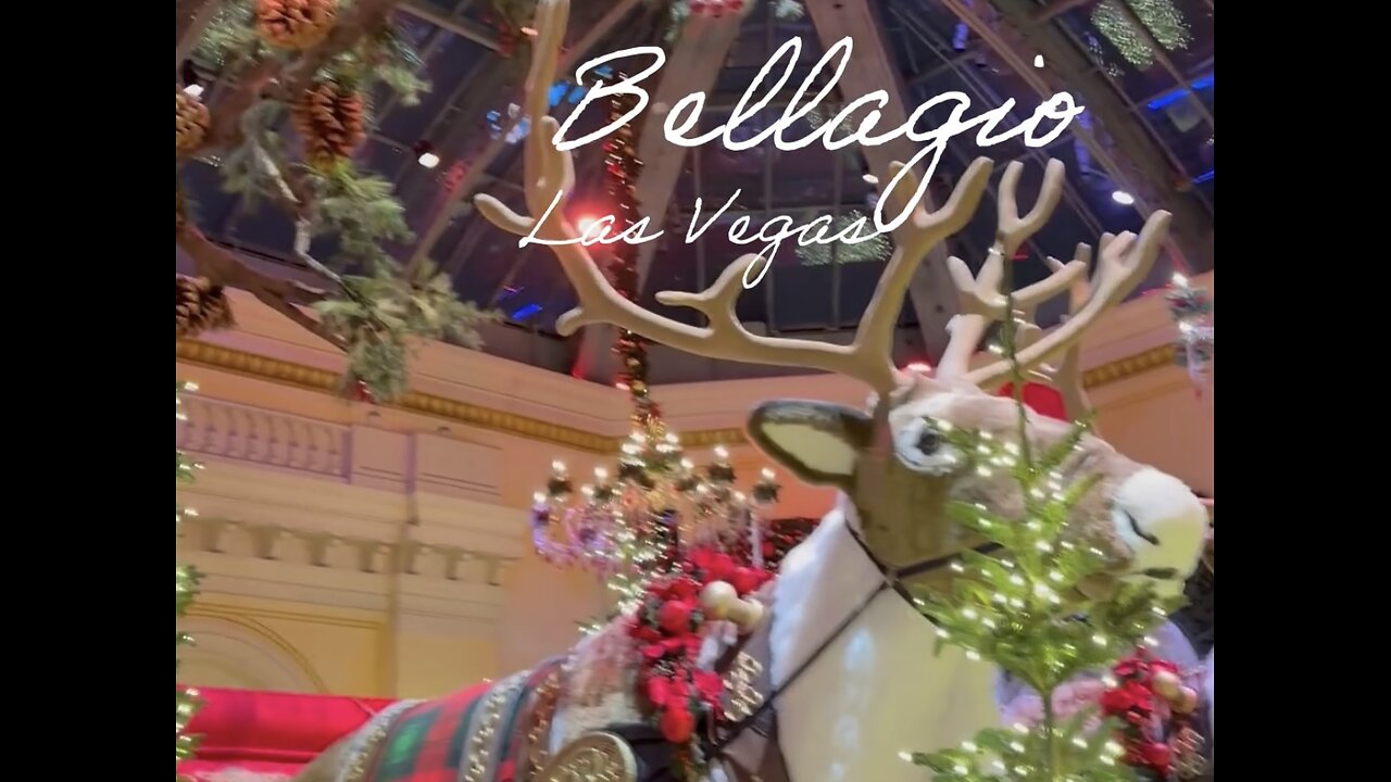 Bellagio Christmas Display