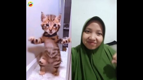 kucingnya lemes banget jogetnya