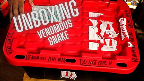 Unboxing A New Venomous Snake: Is This The Best One Yet? You Decide!