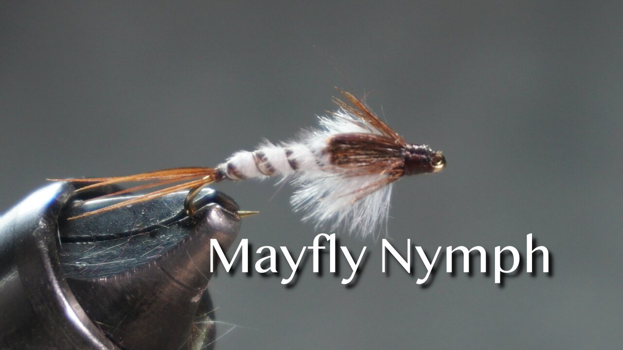 Mayfly Nymph