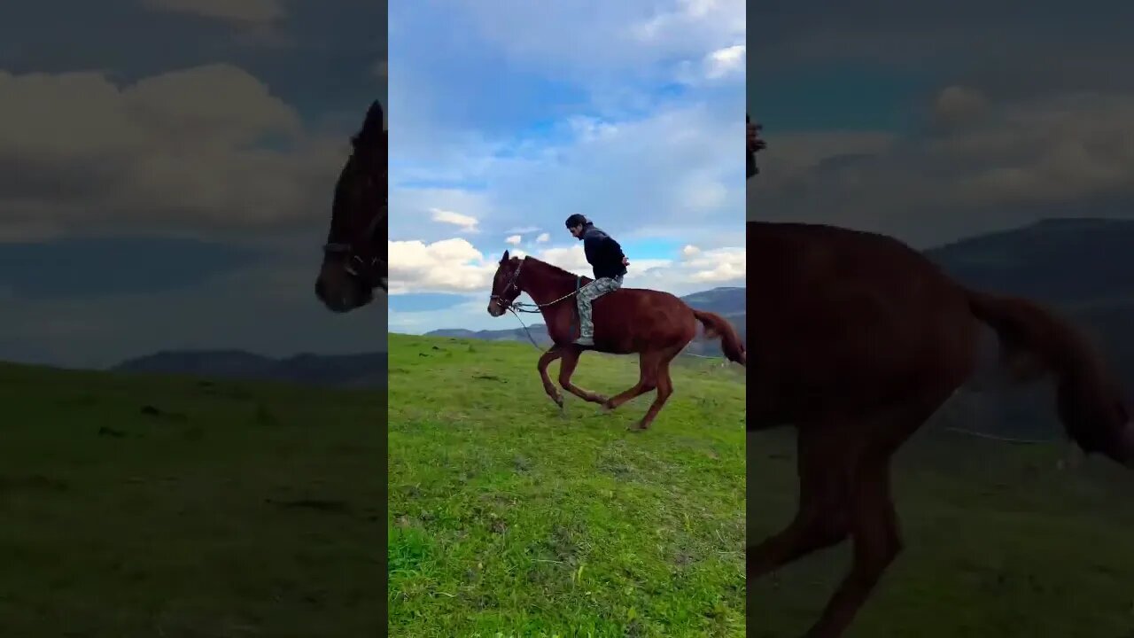 Horse riding with no hands and no saddle 🙌