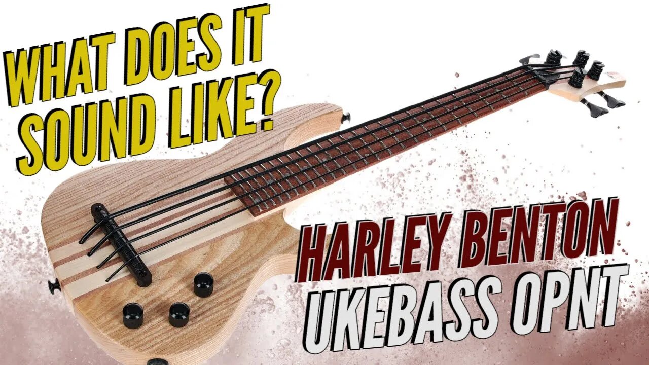 The Most Affordable Bass Ukulele