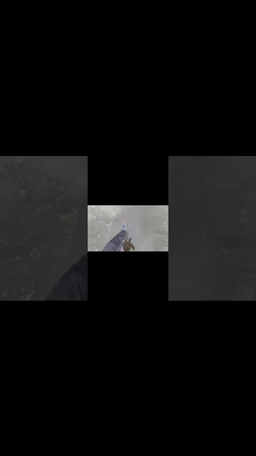 #outnow #newrelease #bitchute #ytshorts #ytshortsvideo #trailer #monttremblant