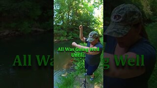 Chaos On The Creek! #shorts #fishingshorts #fishing