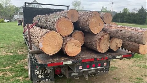 It's Not That Hard, How To Find Logs For Your Sawmill,