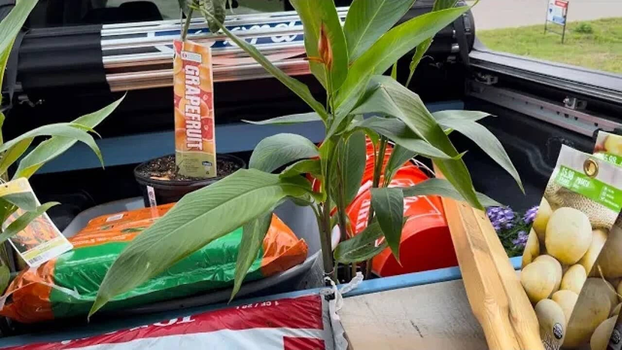 The garden setup and cost