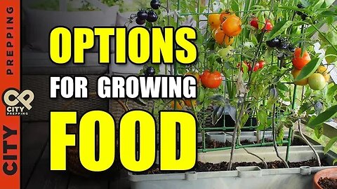 7 Popular Methods to Grow Gardens in Small Spaces and Apartments (pt 4)