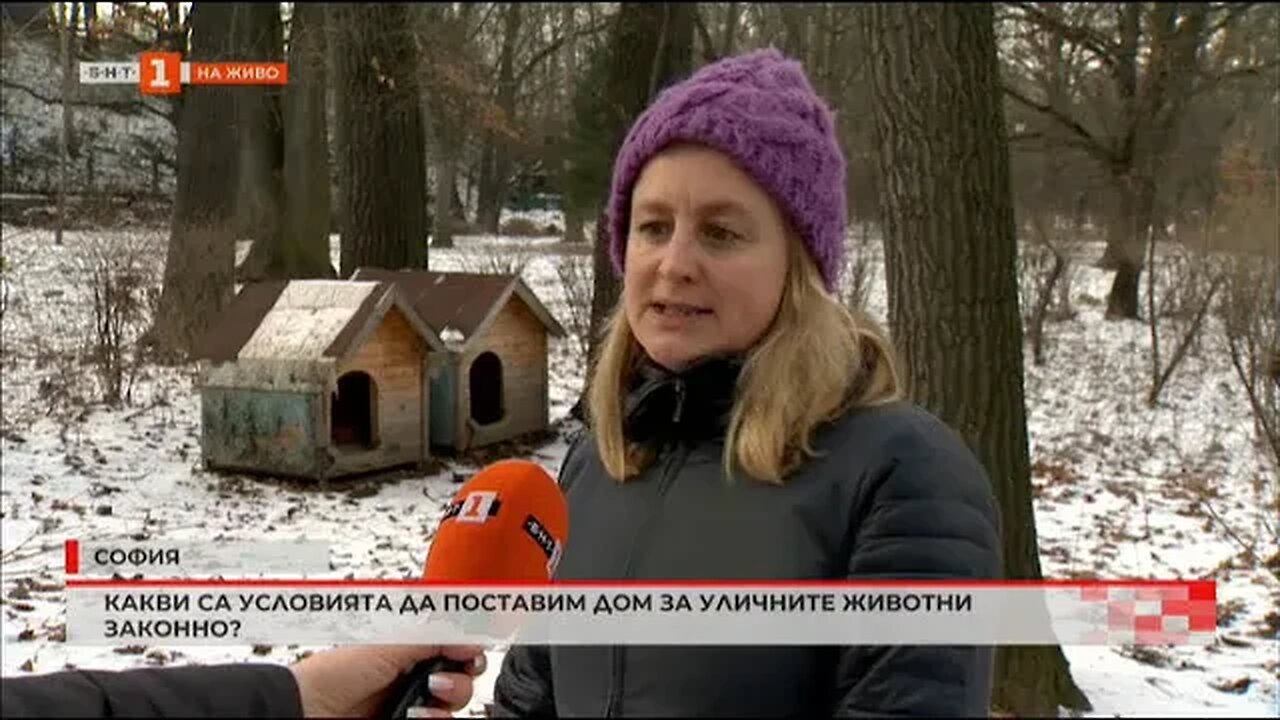 Какви са условията да поставим дом за уличните животни законно