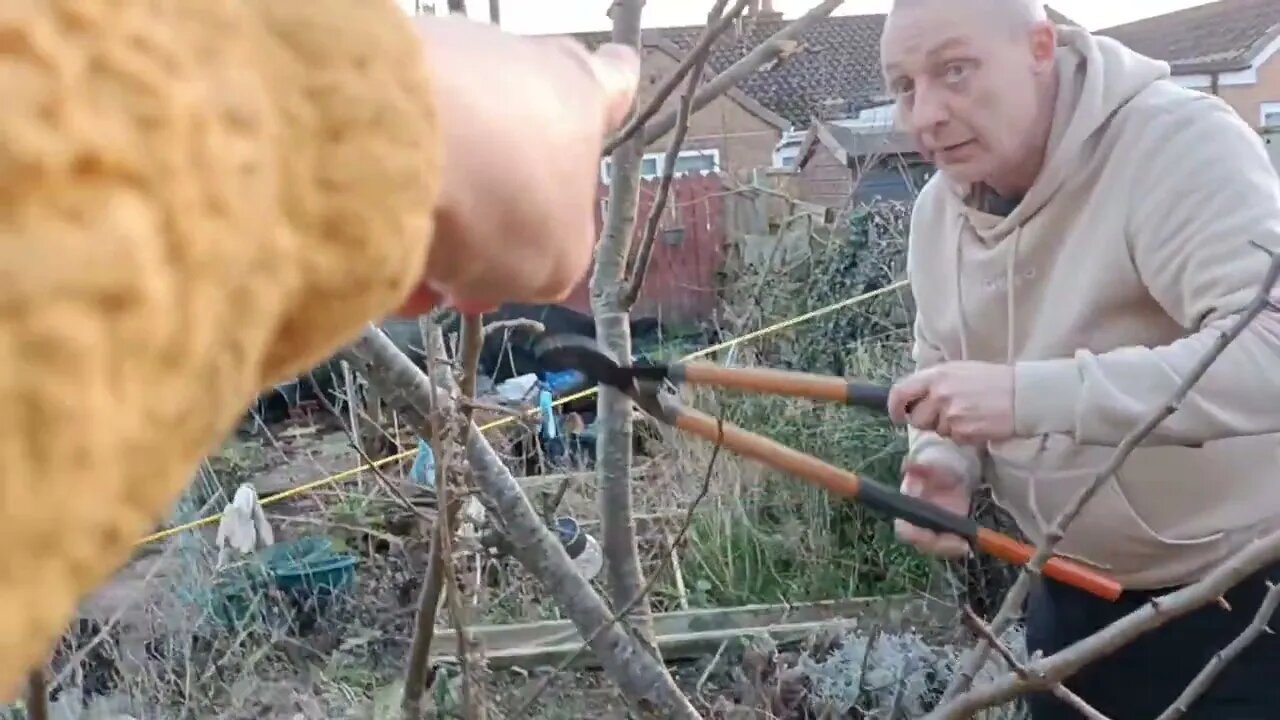 Cutting Back The Fruit Trees 🍏🍐🌳#community #garden #gardening