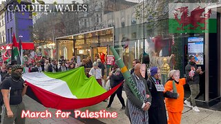 March For Palestine, Castle Street Cardiff