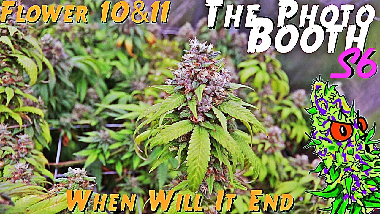 The Photo Booth S6 Ep. 14 | Flower 10 & 11 | When Will It End