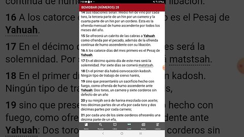 Un día de matstsah