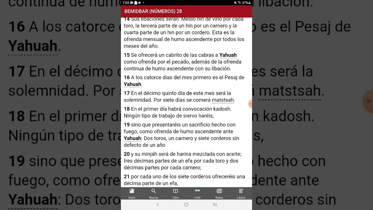 Un día de matstsah