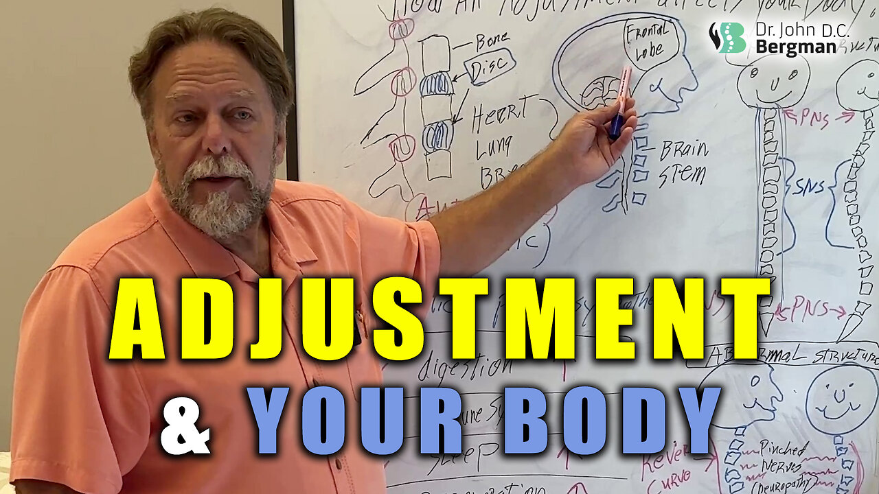 Adjustment & Your Body