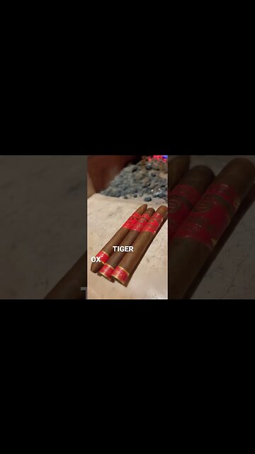 What’s Your Favorite Plasencia Cigar? #cigar #cigars #plasencia #ringoffire