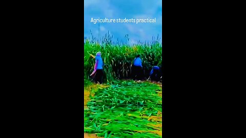 agriculture students Practical