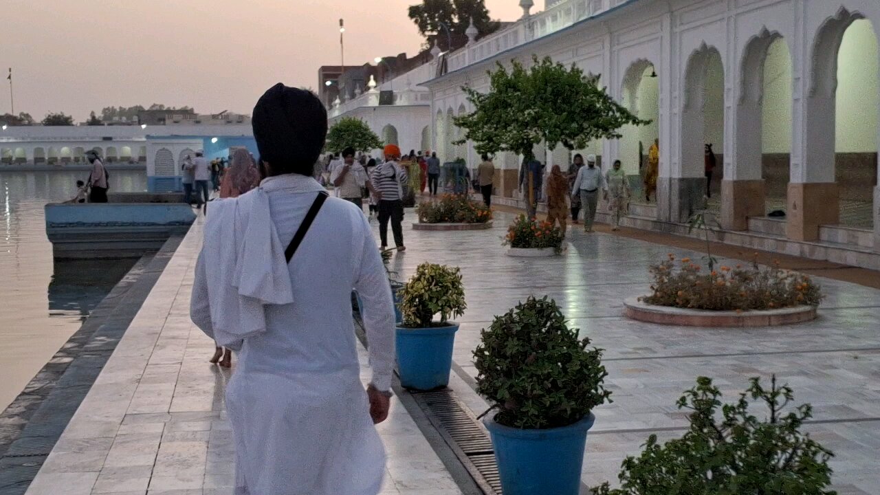 share like follow pls