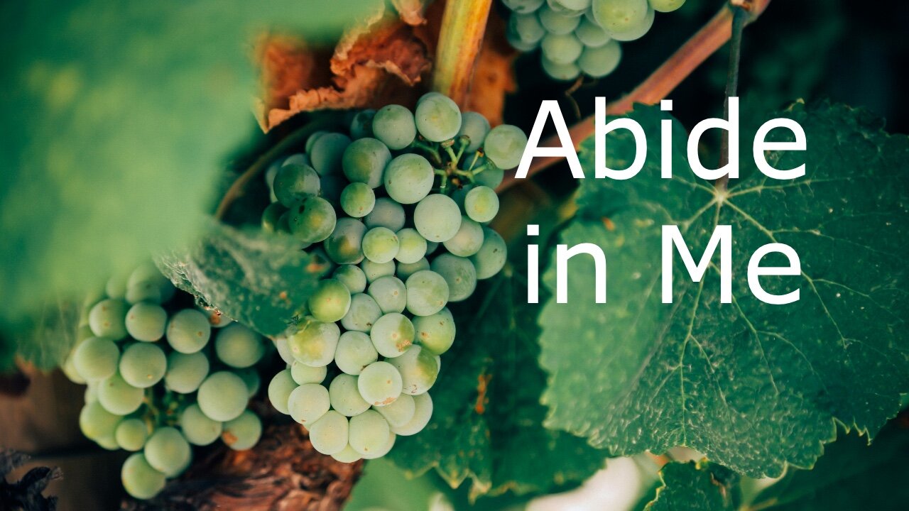 Abide in Me - John 15:1-8 - April 28, 2024