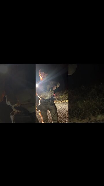 Can You Follow Police In A Car?