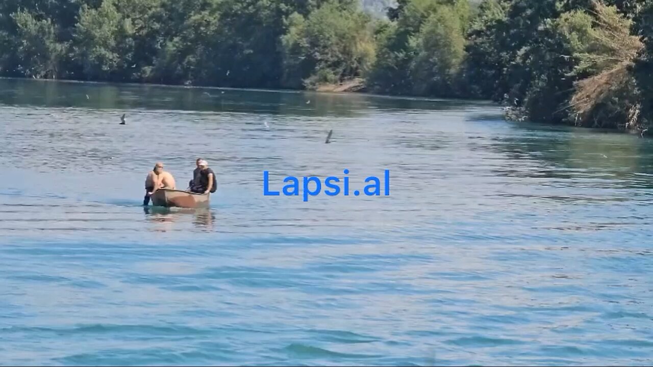 Kerkimet per familjen ne Shkoder