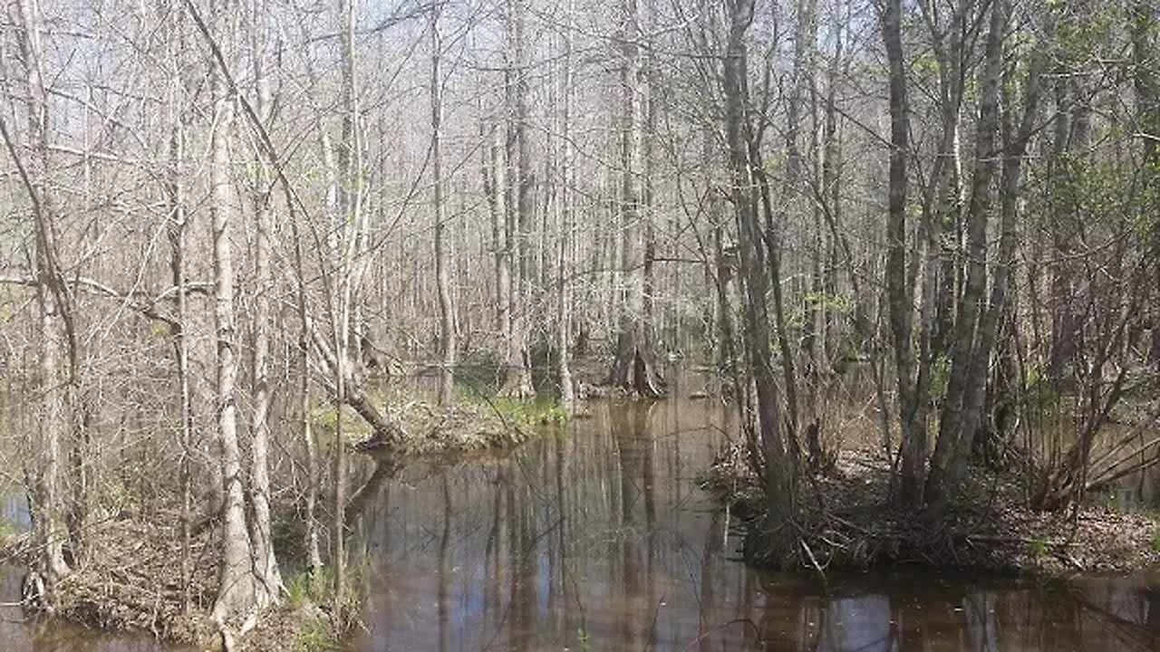 Scouting For Next Trapping Season