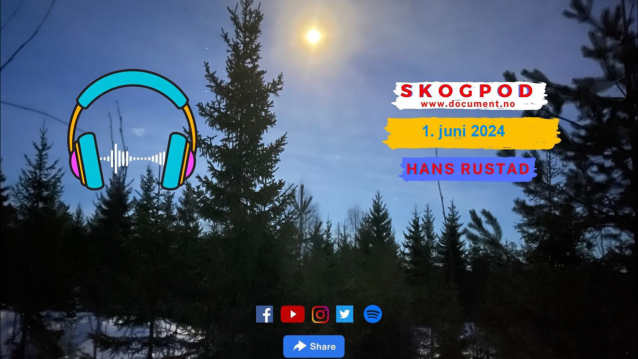 Skogpod 1. juni 2024