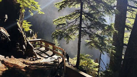 FULL HIKE (4K) to Salt Creek Falls, 2nd Tallest Waterfall in Oregon! | Upper Middle Lower Viewpoints