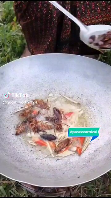 lessons from a father