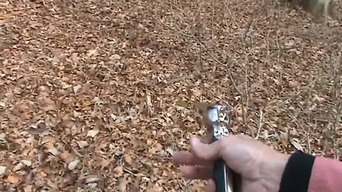 Colt 45 SAA 3rd Gen Nickel (Woods Walk)