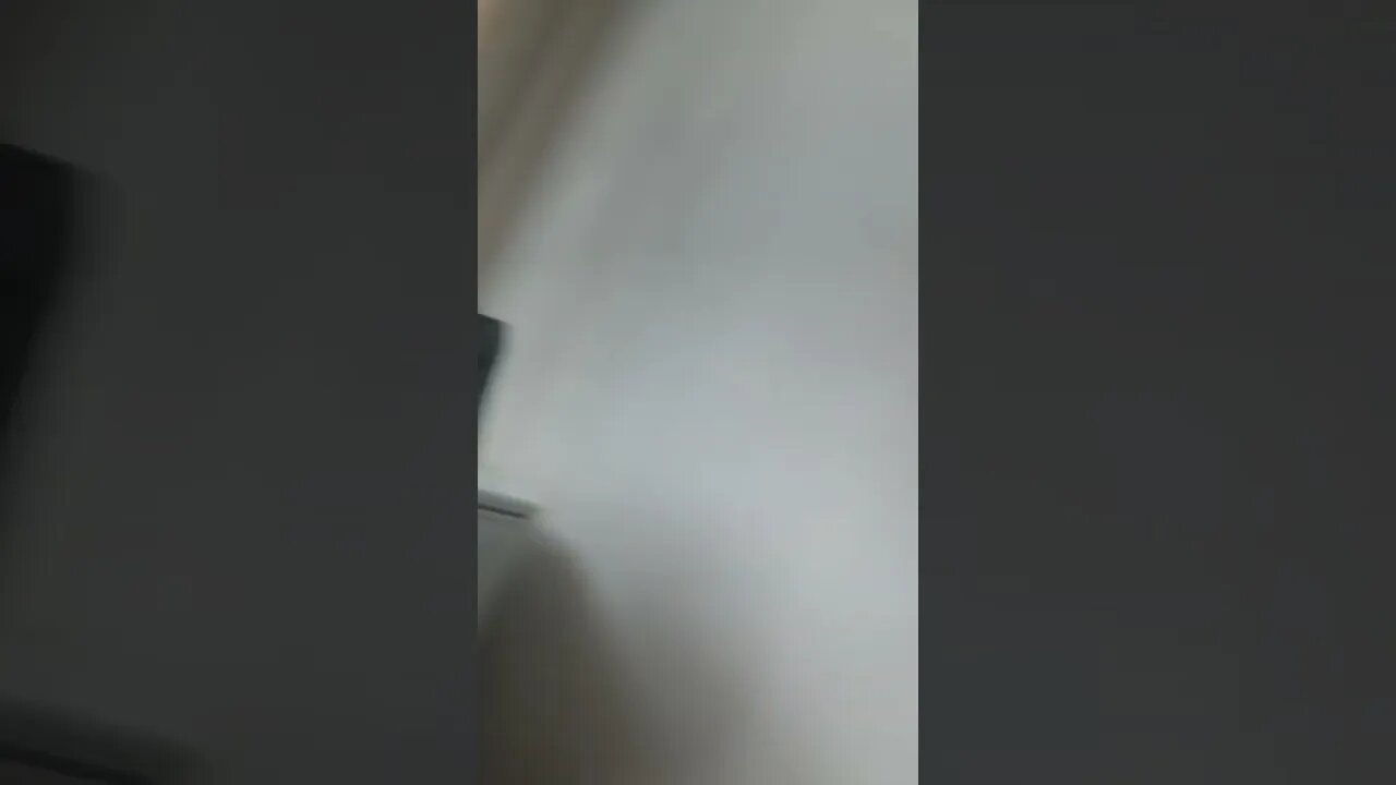 The World Will Be Mine