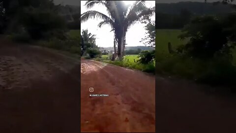 Fazenda da Bacaba