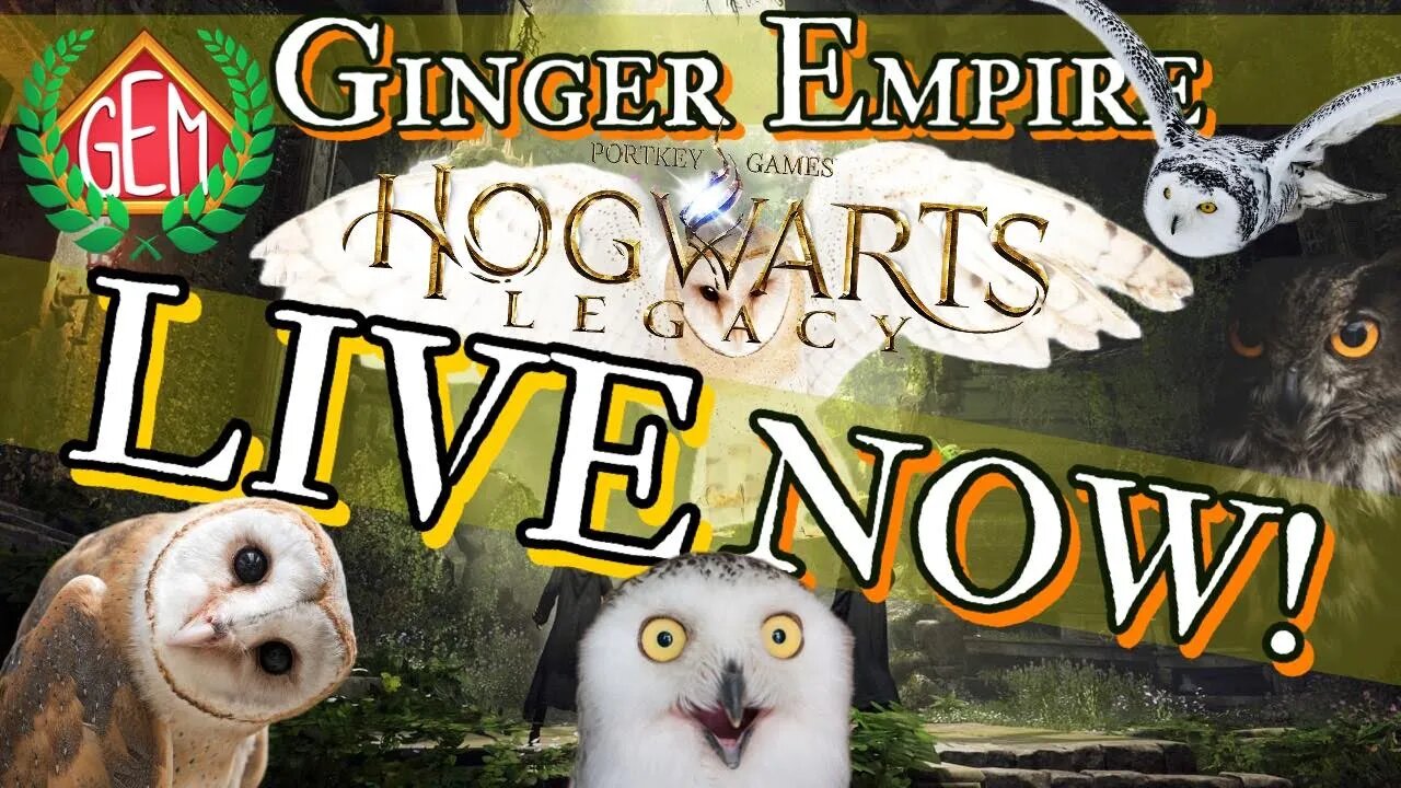 ⚡Hogwarts Legacy LIVE Third Trial! Plus Challenge Grinds! BONUS STREAM⚡