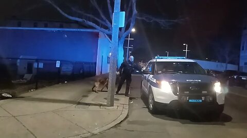 Boston police checking for ballistic evidence on Dewey Street