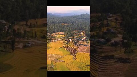 Beautiful Aerial view of Nepal - during rice harvest time