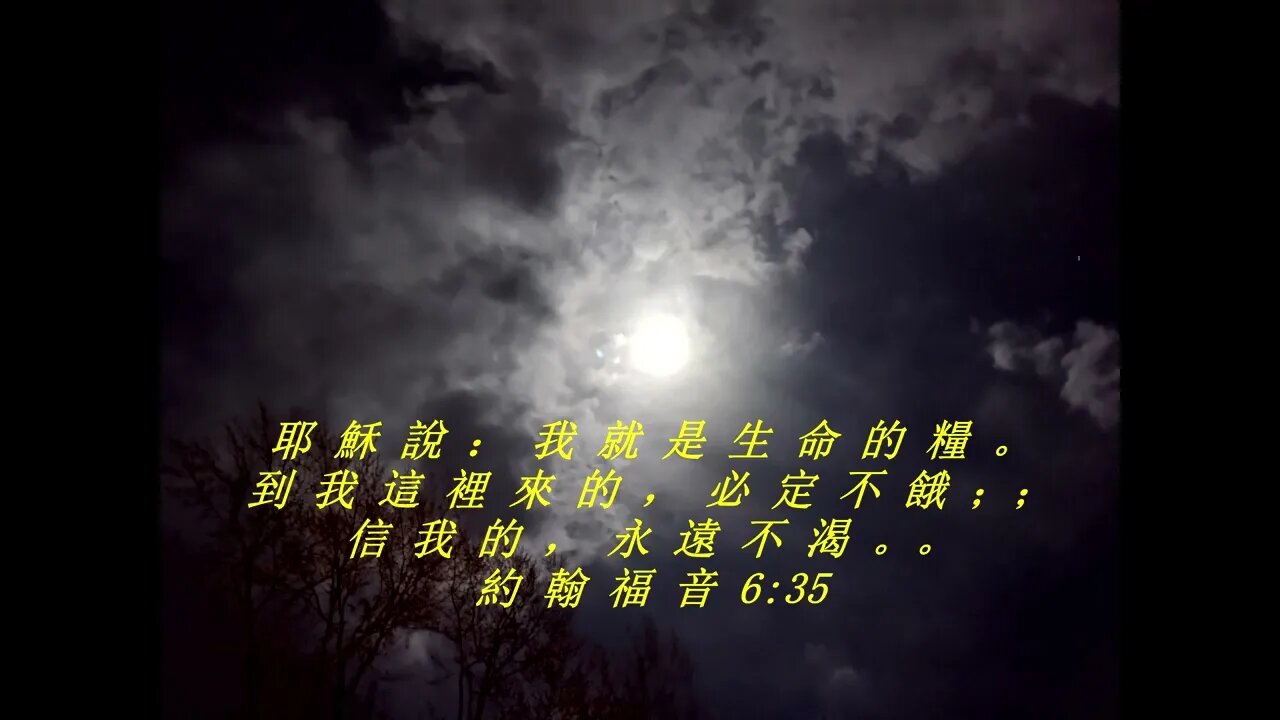 今天的每日聖經經文Jīntiān de měi rì shèngjīng jīng wén