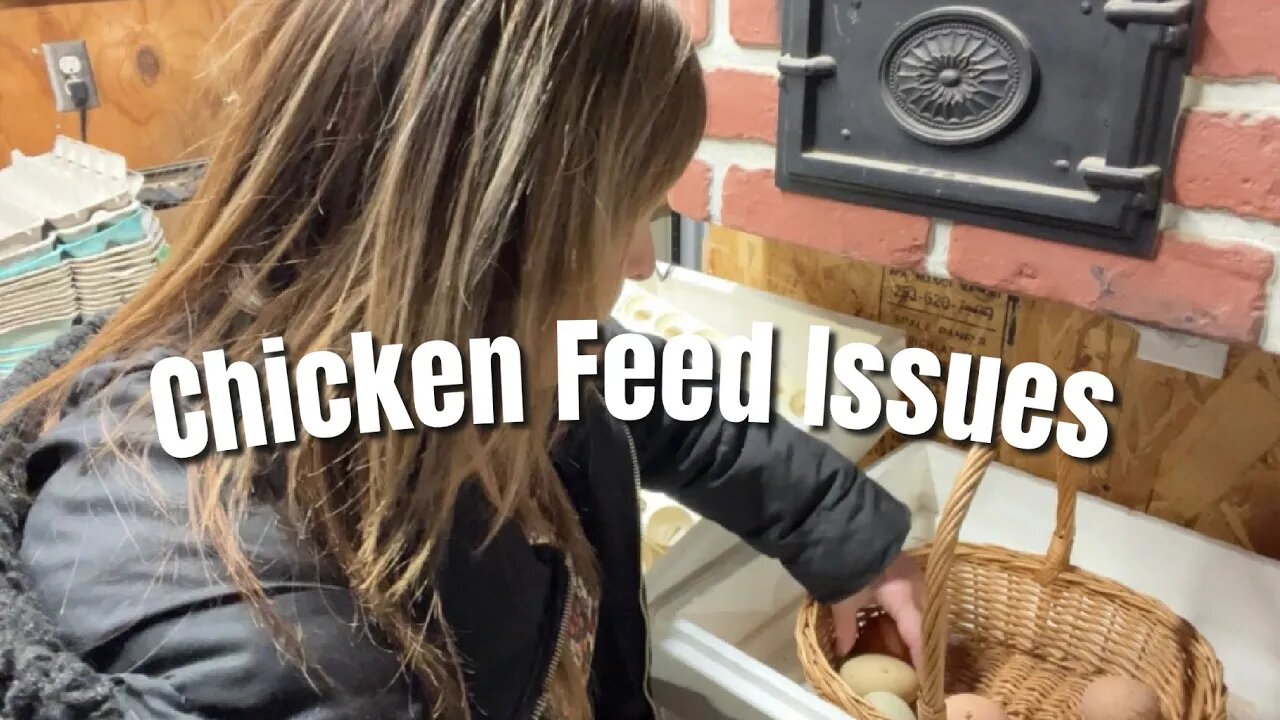 Tractor Supply Feed Issues | TikTok Herbs | Incubation | Homestead