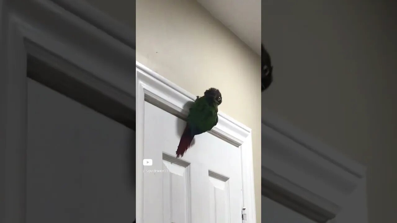 Imagine being up there 🤣