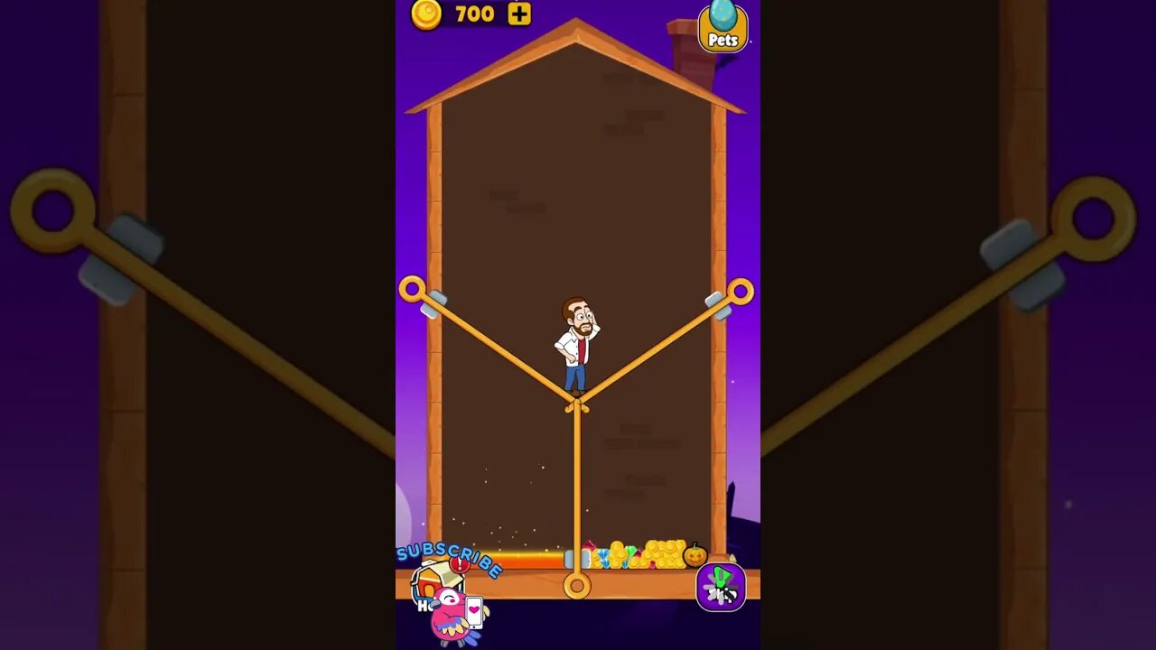 Home Pin: Pull The Pin Puzzle - Level 8 #8