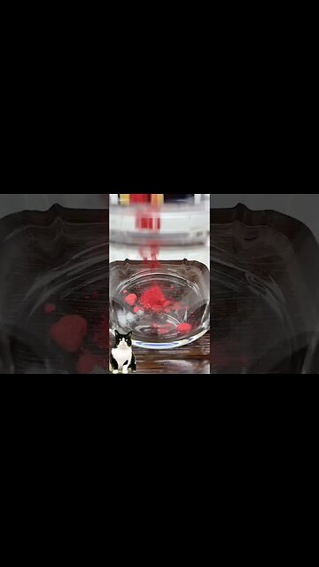 reaction ASMR repair makeup #shorts #catcute #asmr