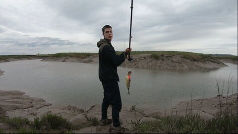 Quest to Catch A Fish