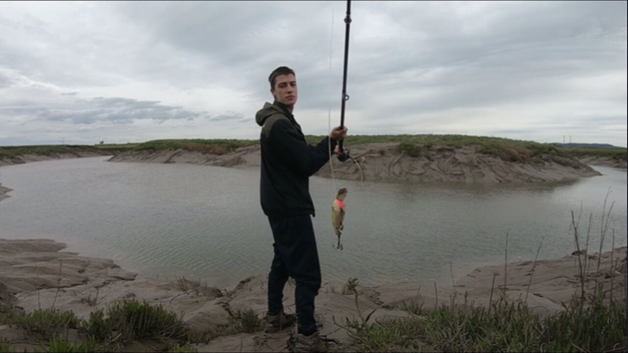 Quest to Catch A Fish