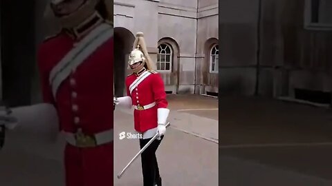 Two in one make way for the guard #horseguardsparade