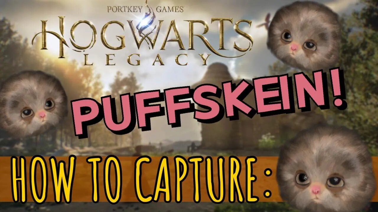 ⚡Where to Find and Capture the Puffskein in Hogwarts Legacy⚡