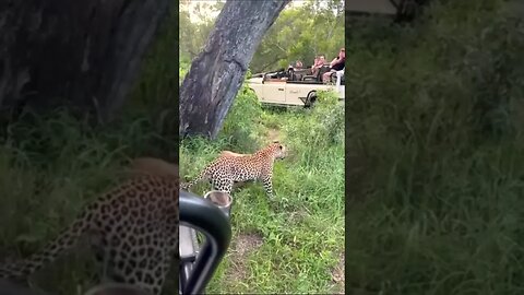 Alegria e festa para alguns e tristezas para outros