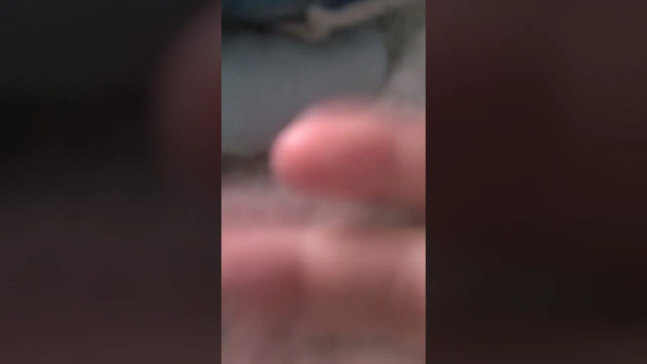 most pointless video